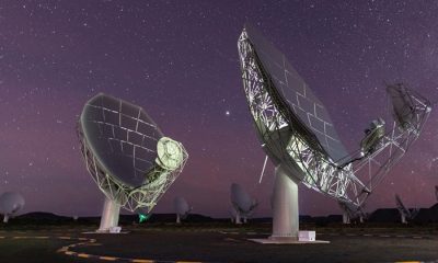 MeerKat telescope for extraterrestrial life signals discovery