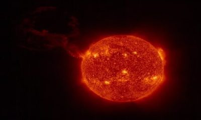 Discovery of "heartbeat" in a solar flare!