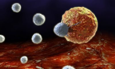 A new cancer vaccine that turns tumor cells into immune cells