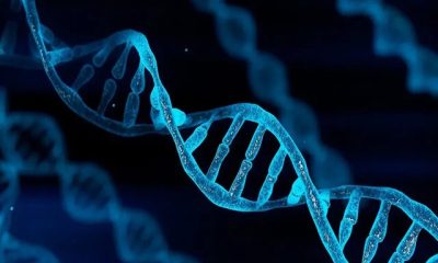 Scientists discovered the secret of DNA's X shape