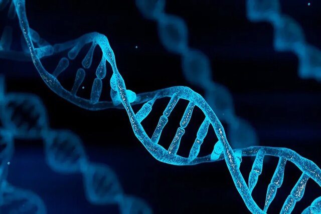 Scientists discovered the secret of DNA's X shape