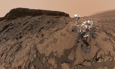 Will terrestrial life contaminate Mars?