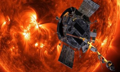 The Parker Solar Probe discovered the origin of the fast solar wind