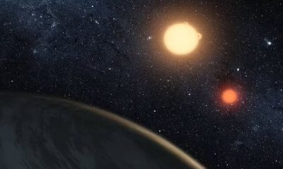 Discovery of a strange planet that has two stars
