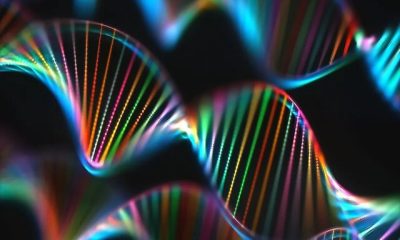 Making new proteins with synthetic DNA