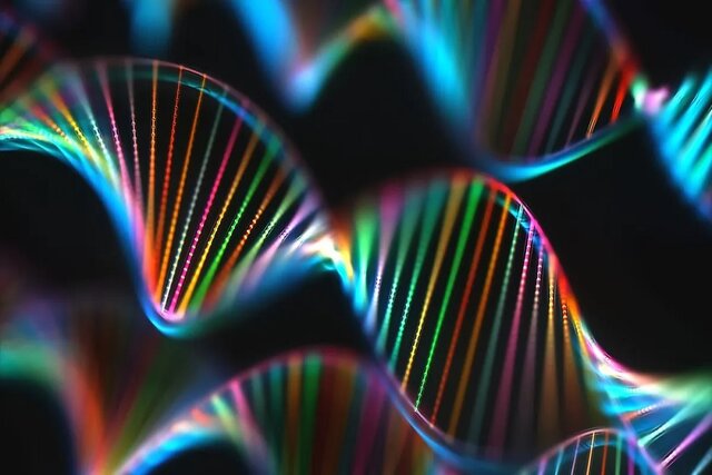 Making new proteins with synthetic DNA