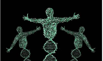 Dark matter secrets of the human genome