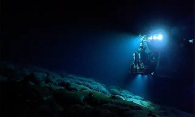hydrothermal wells