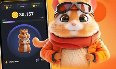 Hamster Kombat crypto game