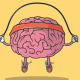 brain